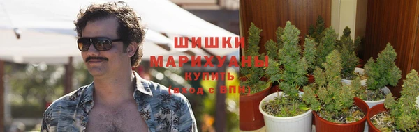 PSILOCYBIN Осташков