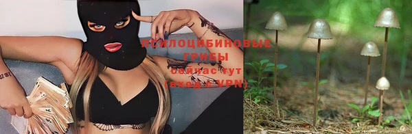 PSILOCYBIN Осташков