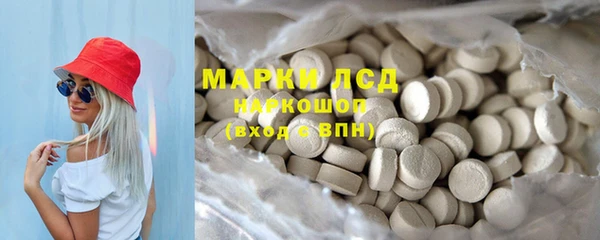 PSILOCYBIN Осташков
