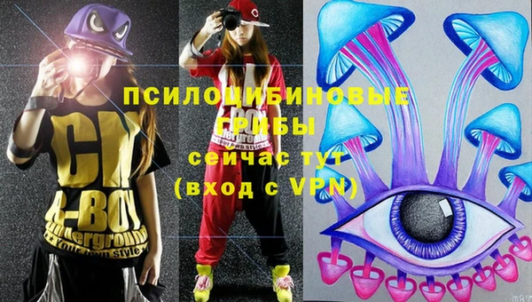 PSILOCYBIN Осташков