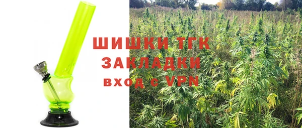 PSILOCYBIN Осташков