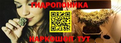 spice Дубна