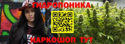 spice Дубна