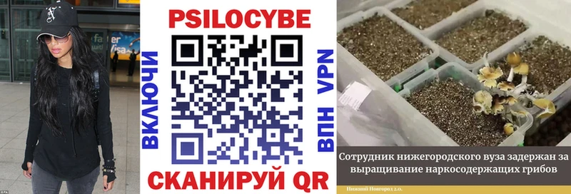 Галлюциногенные грибы MAGIC MUSHROOMS  Старая Купавна 
